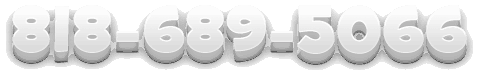 8186895066